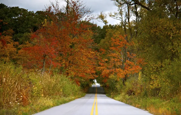Picture road, autumn, the sky, trees, clouds