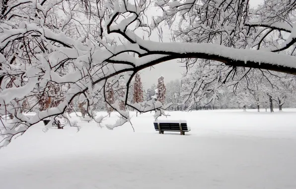 Picture winter, snow, Park, bench