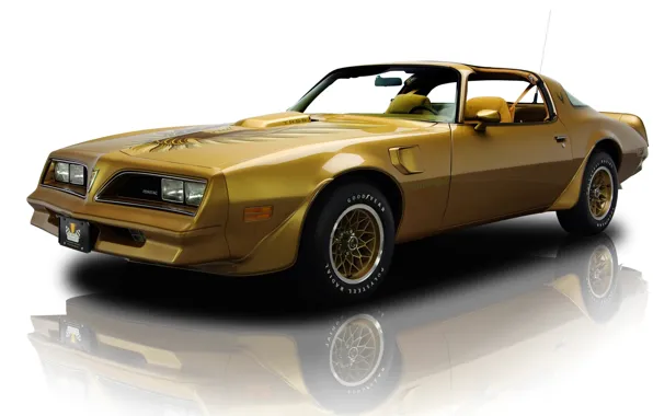 Picture reflection, background, Golden, Pontiac, the front, Pontiac, Firebird, feared