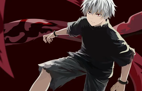 white hair anime boy with red eyes