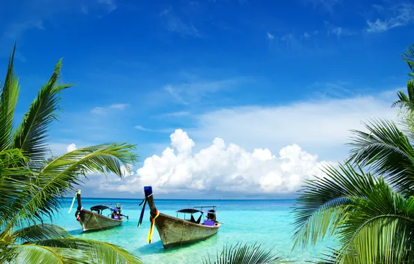 Sea, clouds, branches, tropics, palm trees, shore, boats, horizon