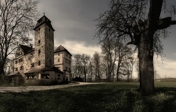 Picture grass, tree, tower