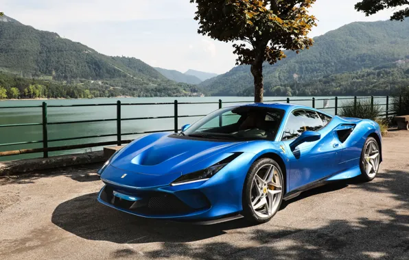 Picture trees, lake, Ferrari, supercar, 2019, Tribute, Ferrari F8