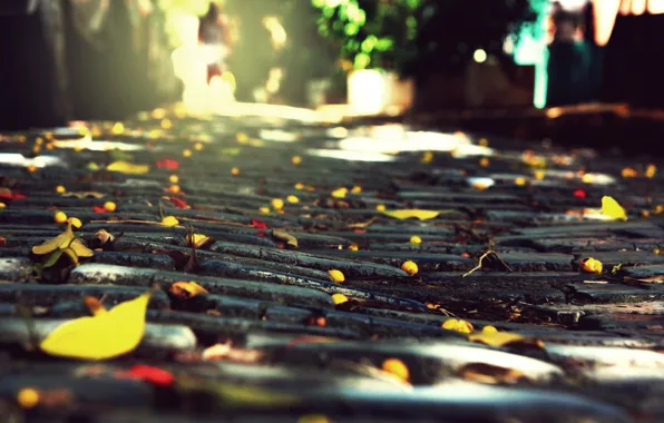 Autumn, the city, stones, foliage, macadam