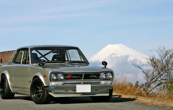 Picture GTR, Nissan, Skyline, Skyline 2000GT-R, HAKOSUKA, KPGC-10