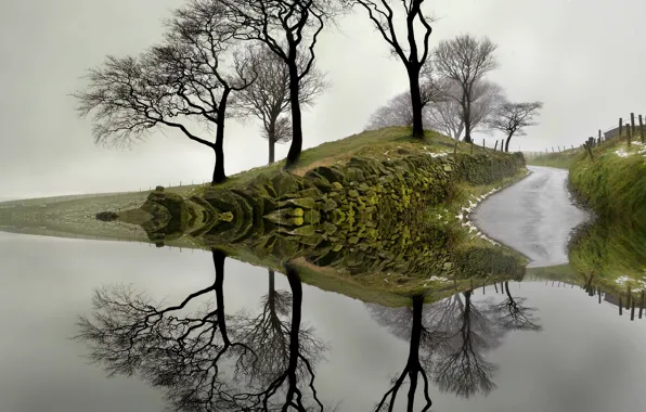 Water, trees, reflection