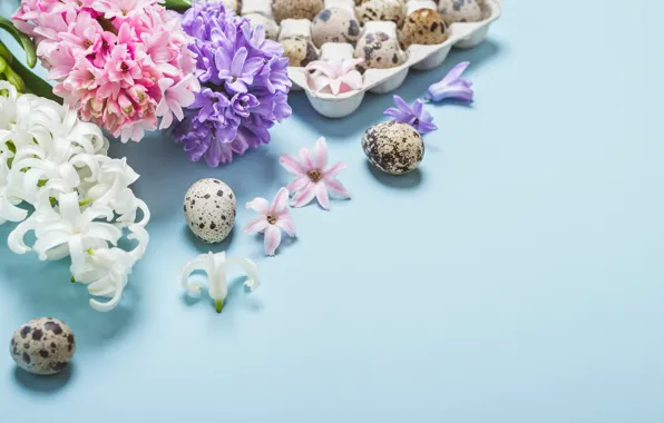 Flowers, eggs, spring, Easter, happy, flowers, spring, Easter