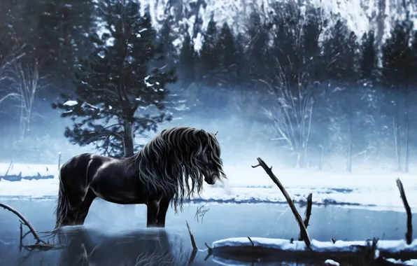 Winter, water, snow, trees, lake, reflection, horse, horse