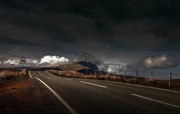 Road, landscape, the evening