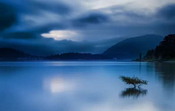 Picture forest, sky, trees, landscape, Italy, coast, nature, water