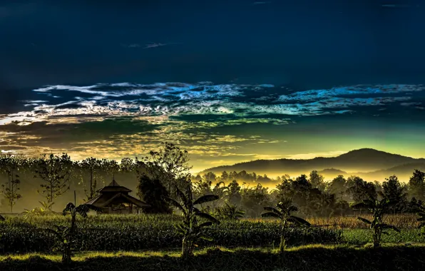 Picture Thailand, cloud, dusk, palm trees, horizon, atmosphere, mist, mountai