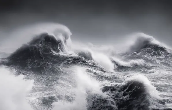 Sea, wave, storm