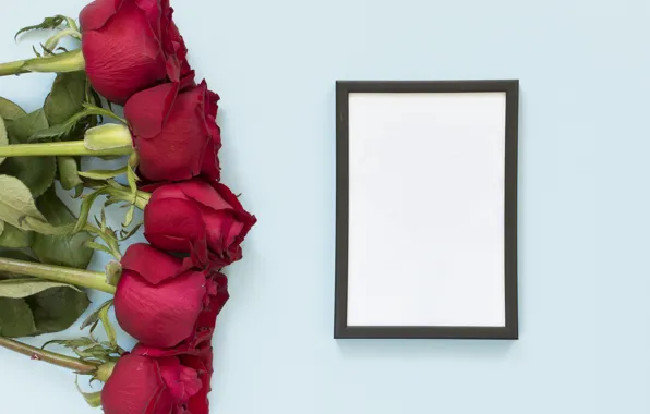 Flowers, red, roses, frame, red, flowers, romantic, roses