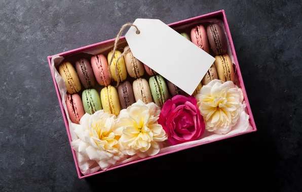 Flowers, gift, colorful, pink, flowers, macarons, gift box, macaroon