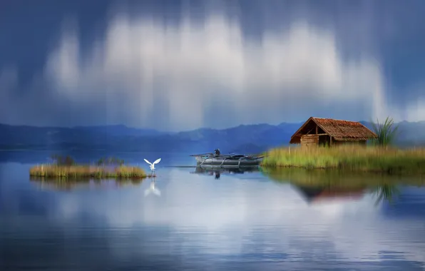 Picture landscape, nature, house, pond, the reeds, bird, boat, graphics