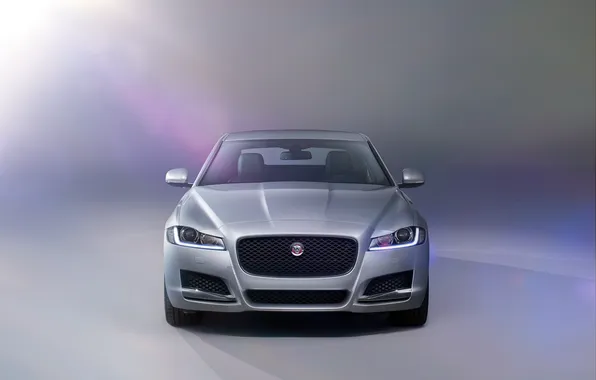 Jaguar, Prestige, 2015, Jagar