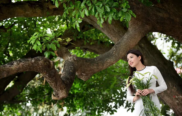 Picture girl, tree, Asian