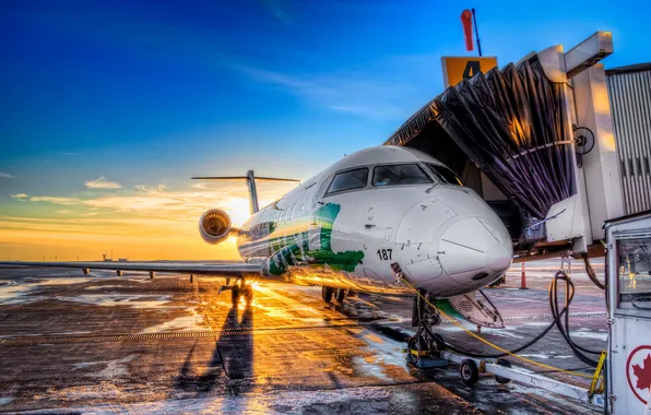 Picture aviation, the plane, the airfield