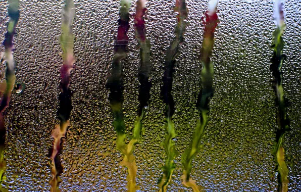 Glass, water, drops, rain, window, threads
