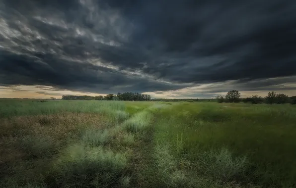 Grass, clouds, space, stormy sky, beautiful landscape, Epifanov Vlad
