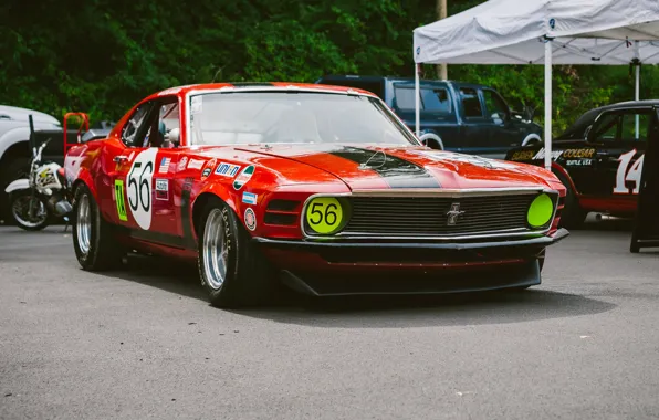 Picture sports, Ford Mustang, the front