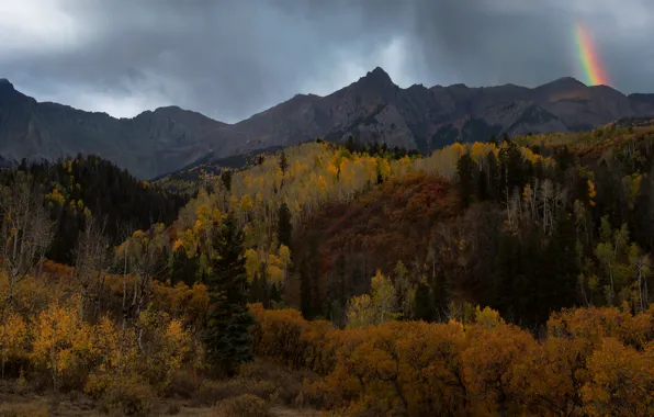 Picture autumn, forest, mountains, rainbow