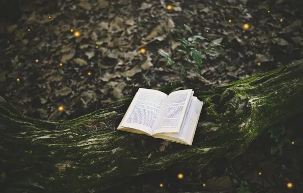 Forest, tree, moss, book, page