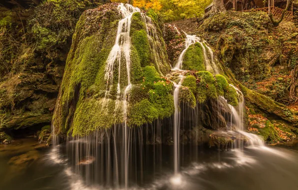 Leaves, stones, waterfall, moss, Romania, Bigar Waterfall