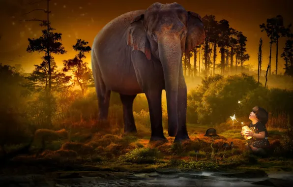 Trees, butterfly, elephant, child, Bank, twilight