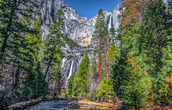 Picture forest, the sky, the sun, trees, rocks, waterfall, HDR, CA