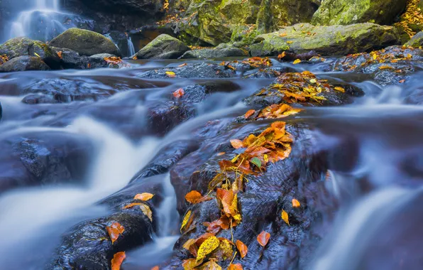Stones, waterfall, autumn leaves