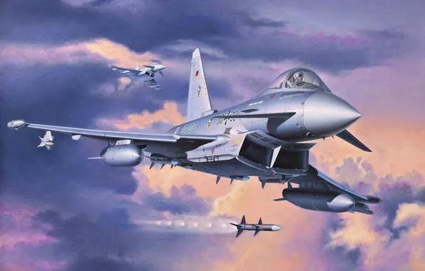 Picture the plane, fighter, art, multipurpose, Eurofighter Typhoon, the sky.