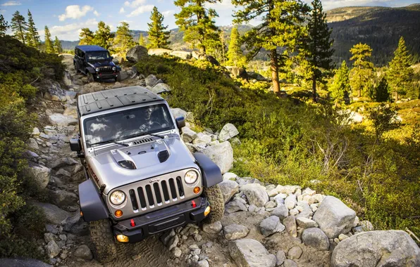 Picture Trees, Stones, Jeep, Wrangler, Jeep, The front, The roads, Rubic