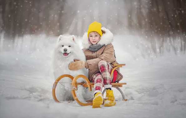 Picture winter, snow, dog, girl, sled, dog, teen, Ksenia Lysenkova