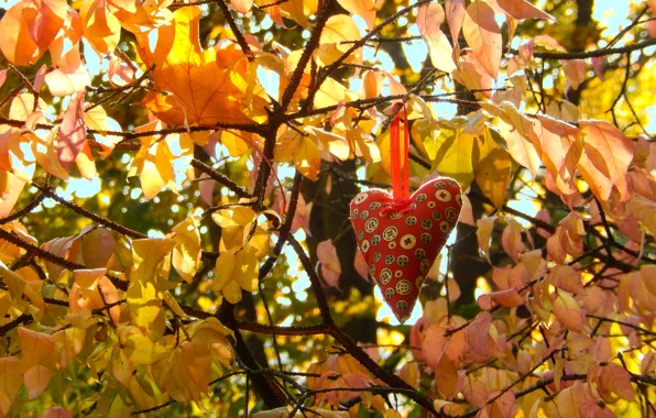 Leaves, sheet, widescreen, Wallpaper, heart, Bush, wallpaper, the bushes