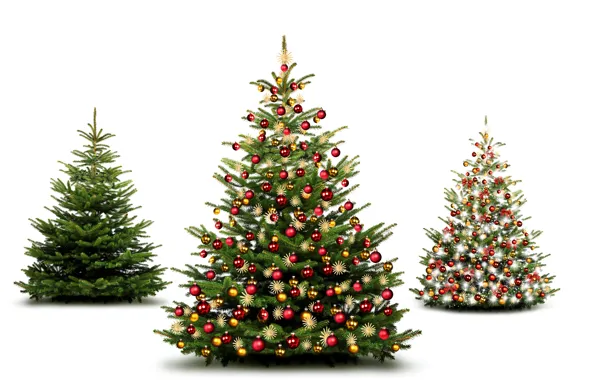Decoration, toys, New Year, Balls, Tree, tree, White Background