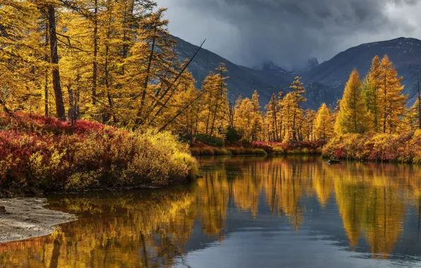 Picture autumn, trees, landscape, mountains, clouds, nature, reflection, river