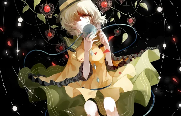 Leaves, night, berries, ball, skirt, hat, lights, hands