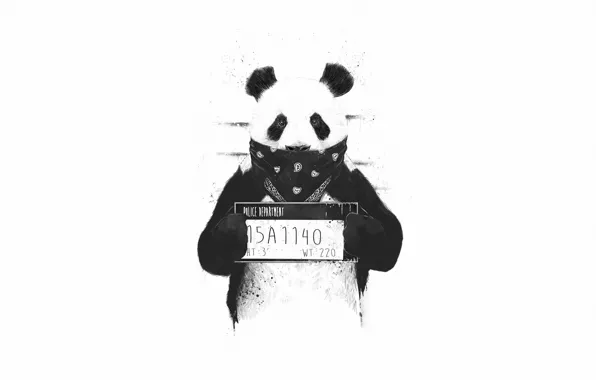 Minimalism, Panda, Style, Background, Art, Art, Style, Background