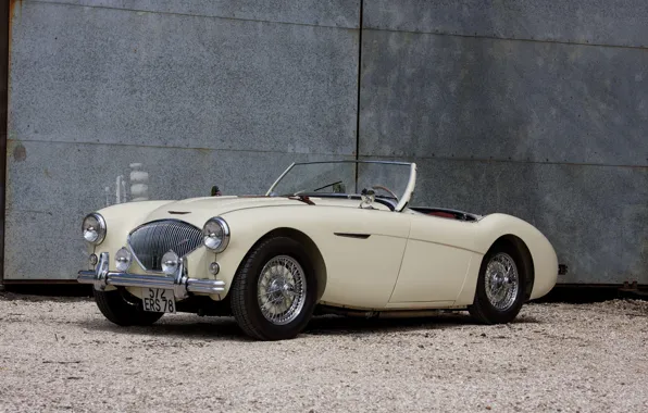 Roadster, The Mans, Austin-Healey 100M