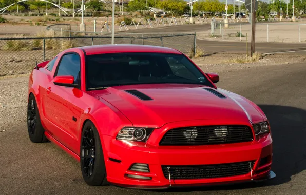 Picture mustang, red, wheels, ford, black