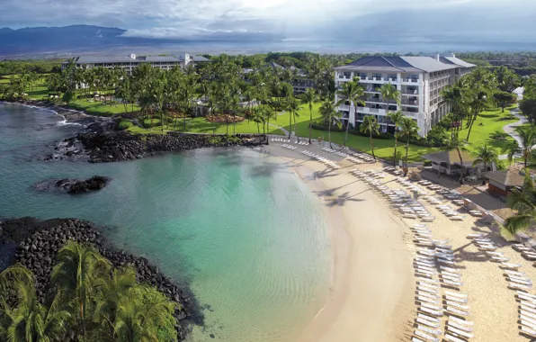 Beach, palm trees, the ocean, resort, Hawaii
