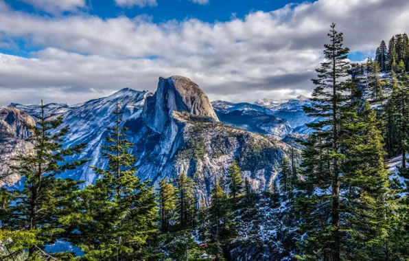 Picture forest, mountains, nature, Yosemite national Park, Yosemite National Park
