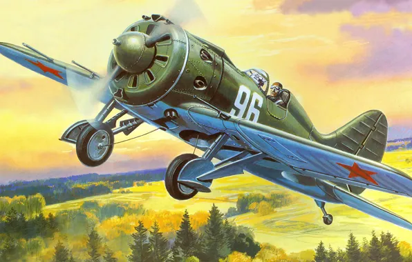 Picture figure, rat, the rise, -16, one, type, Soviet single-engine piston fighter monoplane