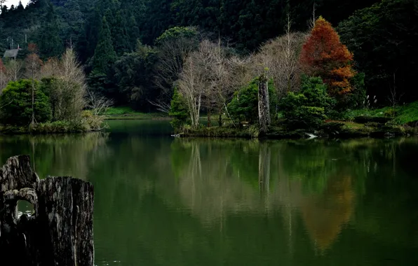 Picture autumn, forest, trees, lake, slope