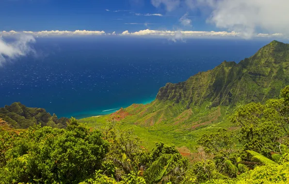 Wallpaper sea, greens, mountains, the sky, nature, panorama, shore