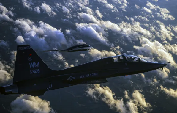 Spirit, B-2, Northrop, Grumman, UNITED STATES AIR FORCE, training, Talon, jet