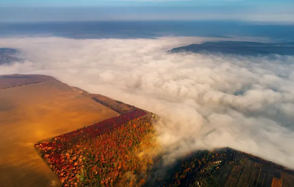 Autumn, fog, river, morning, Moldova