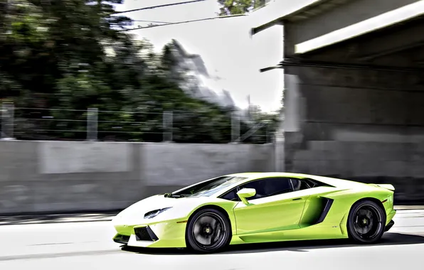 Picture green, green, speed, Lamborghini, blur, Lamborghini, Aventador, aventador
