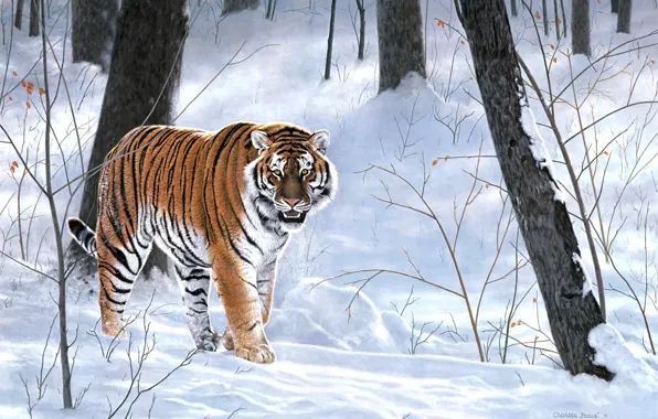 Winter, forest, animals, tiger, painting, taiga, Charles Frace, Emperor Of Siberia